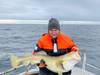 2 3